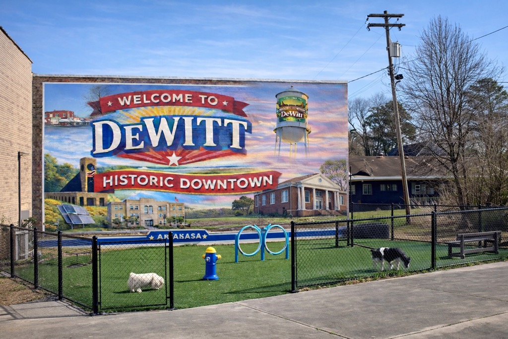 Welcome to DeWitt Historic Downtown mural with dog park